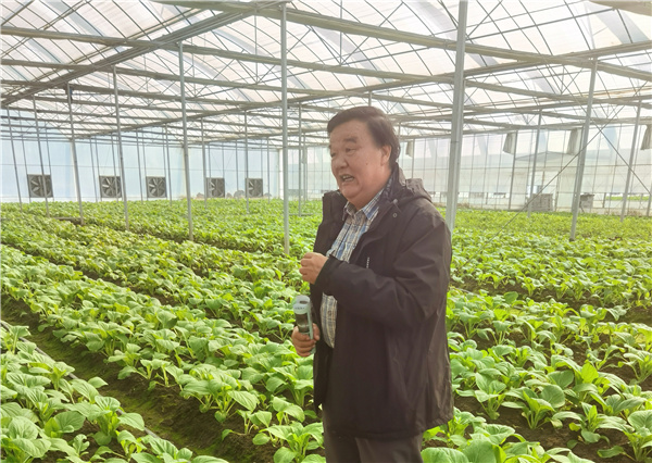 對話蔬菜專家張業光：好菜是種出來的，不是檢測出來的