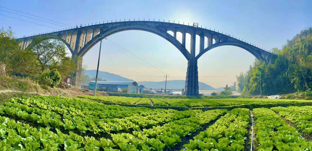 湖南：擦亮「湘江源」品牌，打造粵港澳大灣區菜籃子基地