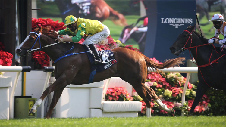 國際賽日發生墮馬意外 潘頓希威森福永𧙗一送院