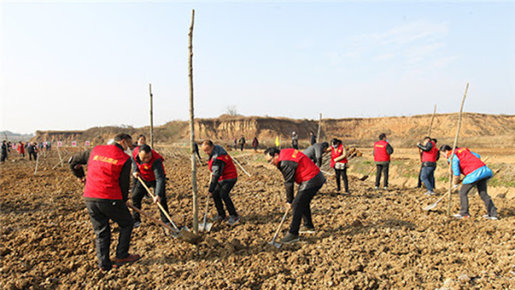 全民義務植樹40年 共175億人次植樹超780億株