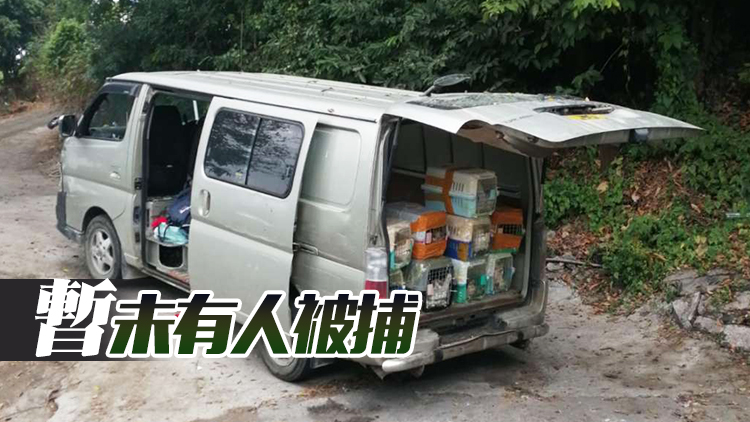 警方流浮山截查客貨車 檢獲51隻懷疑走私貓狗