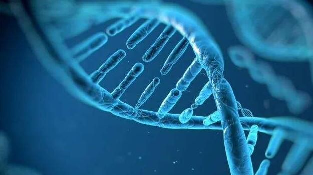 【市場慧眼】新股Sirnaomics宜長線持有
