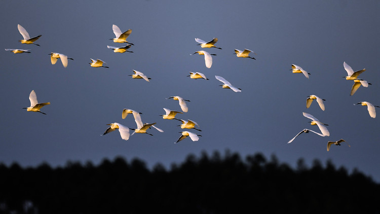 不斷為人類文明進步貢獻智慧和力量