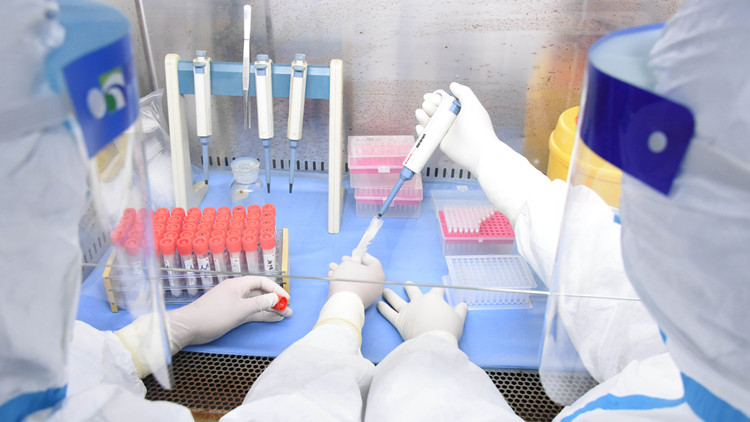 廣西東興兩地調整為中風險地區