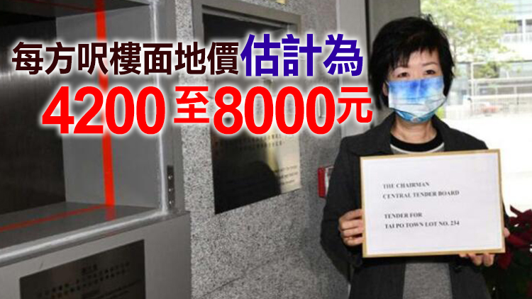 大埔滘住宅地中午截標 收至少7份標書