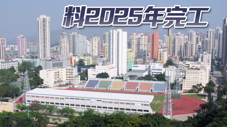 元朗大球場重建工程招標 座位數目料增至6000個