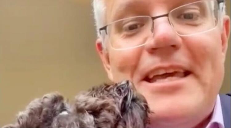 莫里森開通TikTok賬號 與寵物狗Bud拍視頻