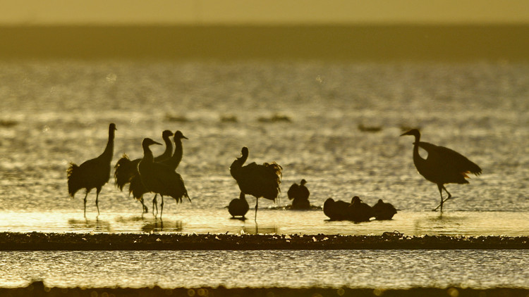 走好實現第二個百年奮鬥目標新的趕考之路