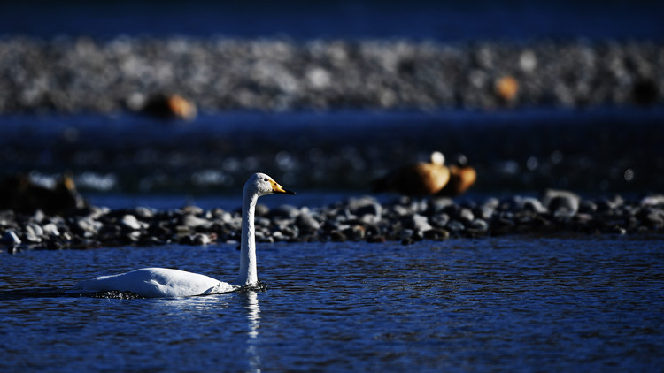 把准推動六中全會精神進課堂的關鍵點
