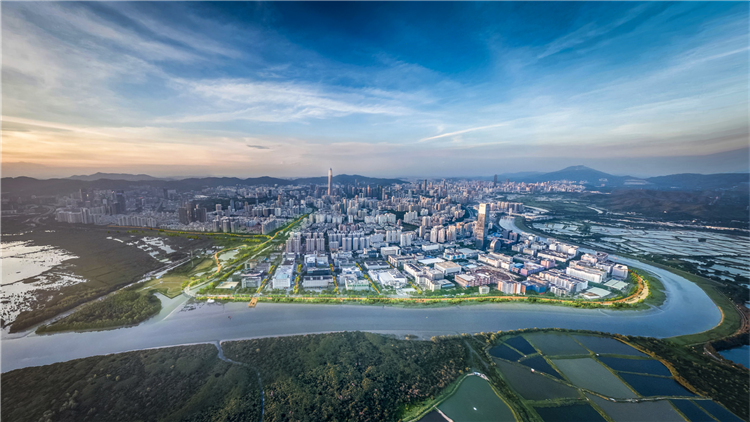 探索國際化開放式黨建工作新模式  深圳福保街道全力助港青港企灣區逐夢