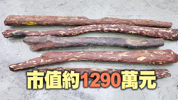海關檢獲約2570公斤懷疑受管制紫檀木材