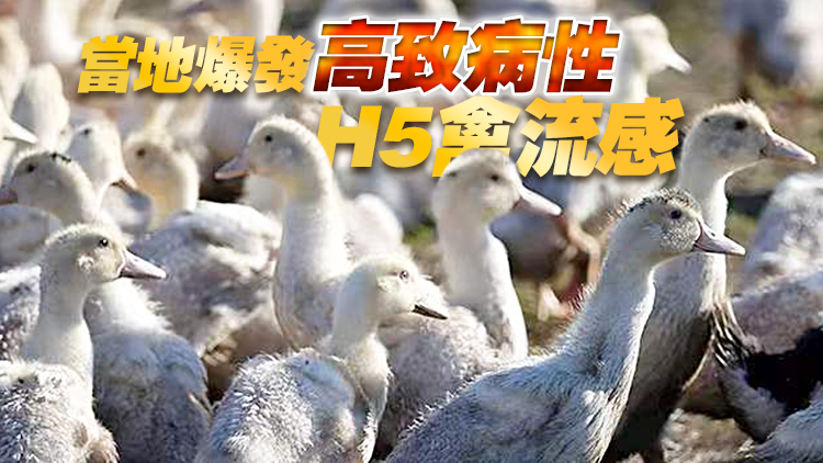 本港暫停進口日本愛媛縣禽肉與禽類產品
