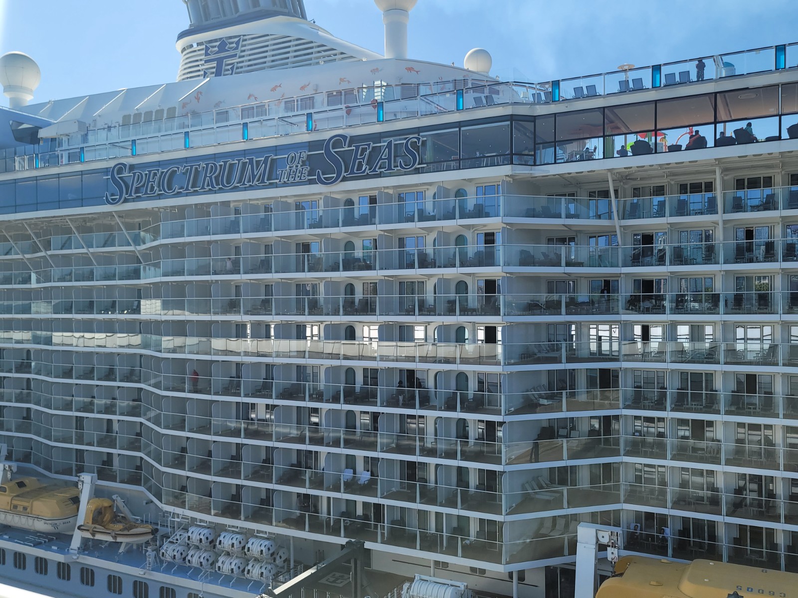 9密切接觸者登船 3700人須強檢  海洋光譜號即時回航檢疫 