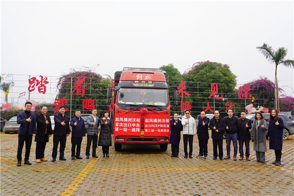 搭乘RCEP東風 武鳴沃柑出口迪拜