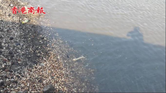 有片 | 台軍方F-16V戰機墜海畫面曝光 當地民眾發現疑似人體遺骸