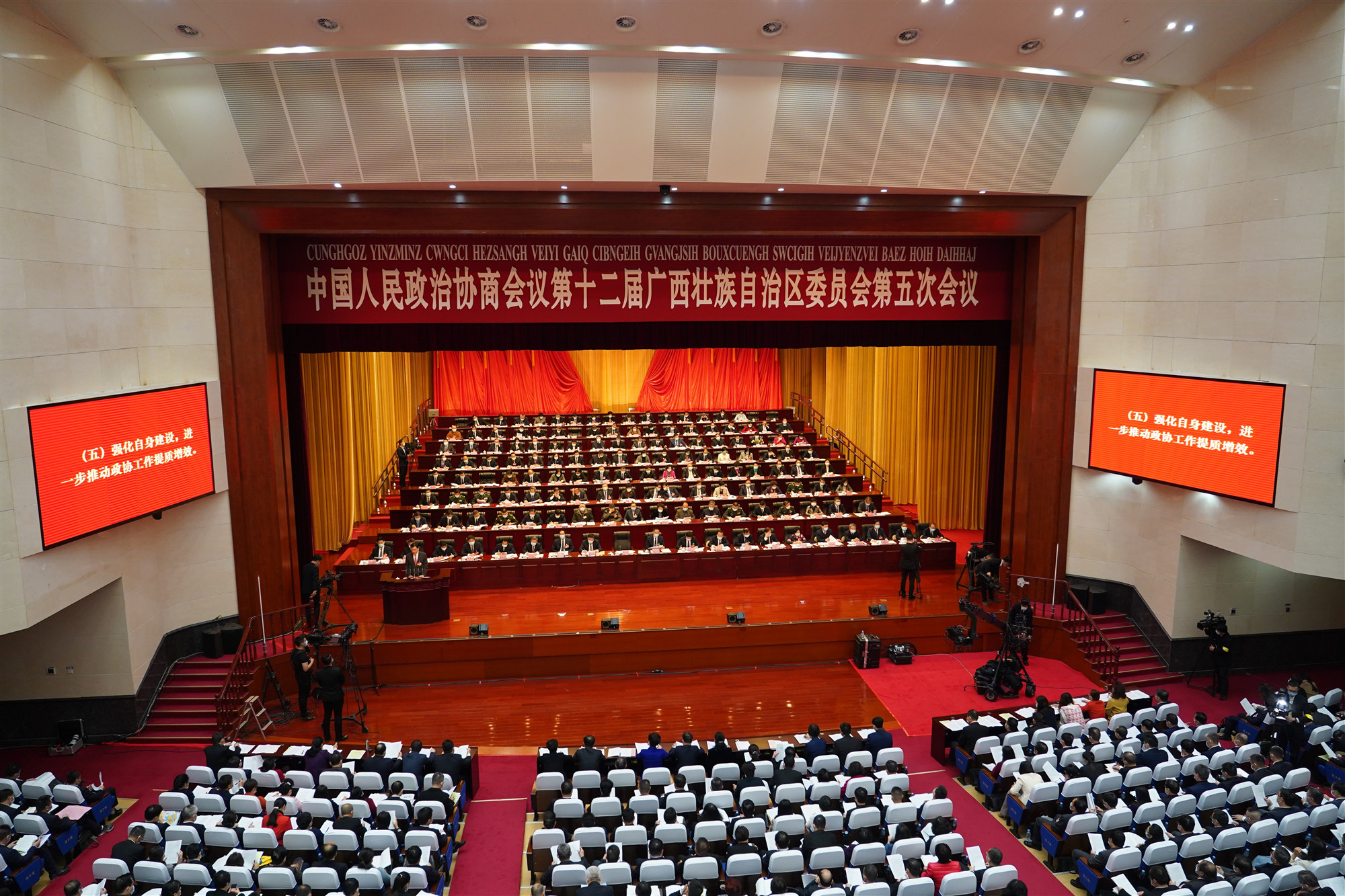 【廣西兩會】委員唐波：發揮僑海優勢推介RCEP新機遇