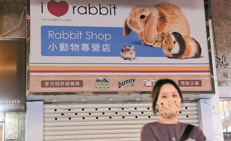 市民交出1倉鼠驗出陽性 2512隻小動物經已人道處理