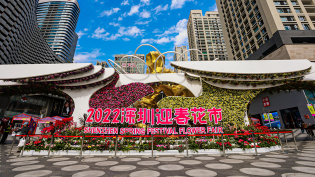 年味漸濃 2022深圳迎春花市溫暖開啟