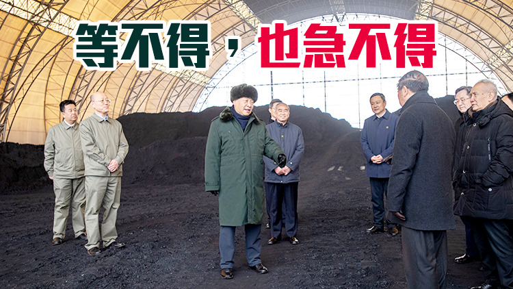 習近平：推進碳達峰碳中和不是別人讓我們做  而是我們自己必須要做