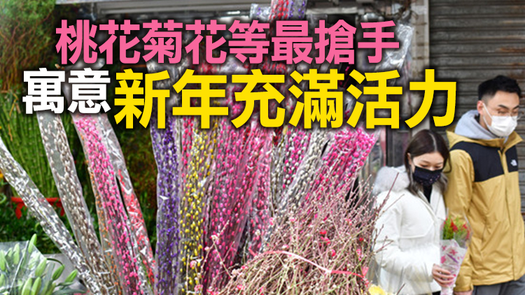圖集 | 響應防疫營業花檔稀少 市民碰運氣「執平貨」