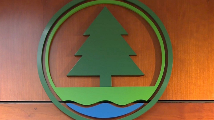 漁護署：2月7日起實施特別工作安排