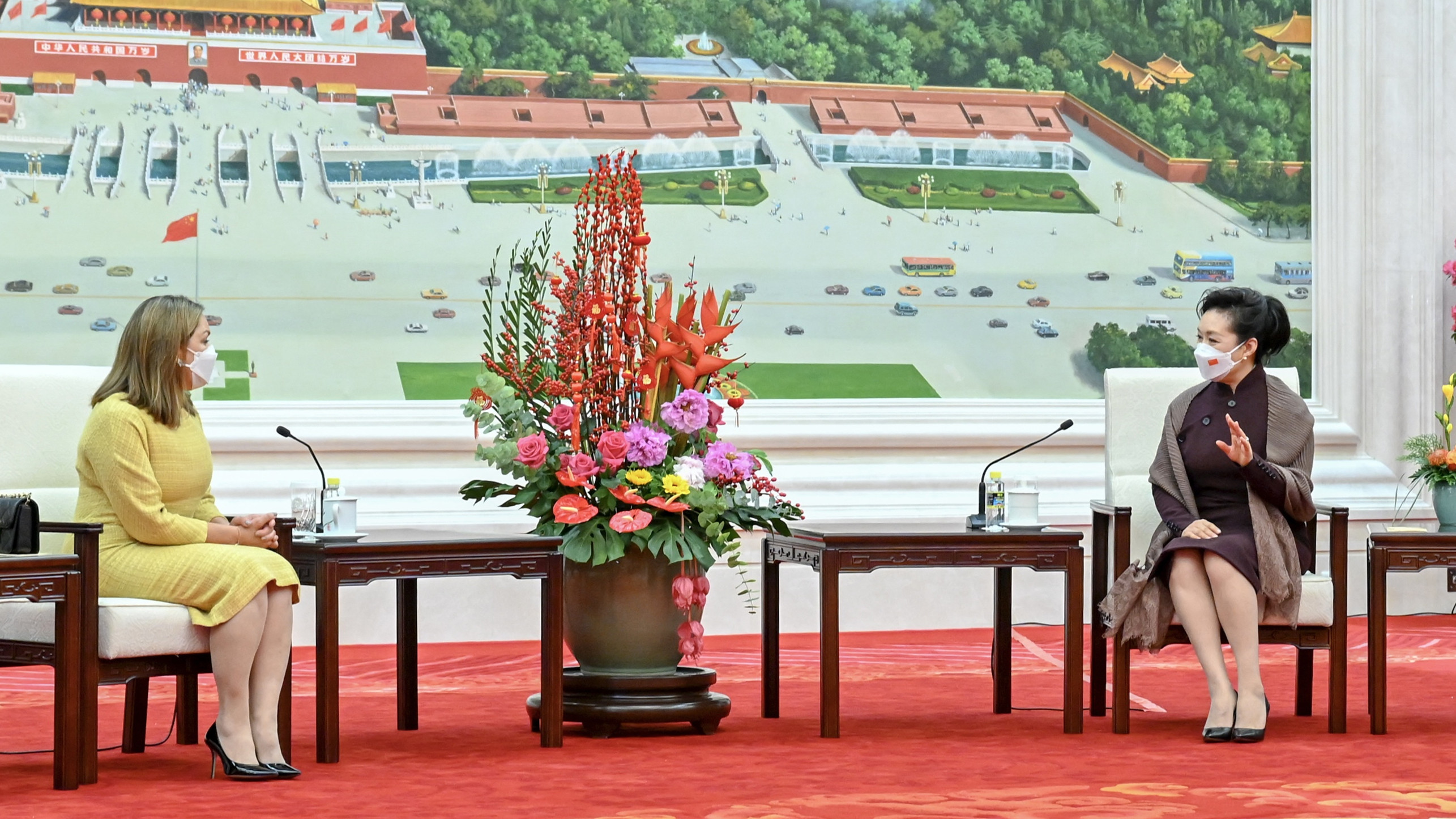 彭麗媛會見厄瓜多爾總統夫人阿爾西瓦