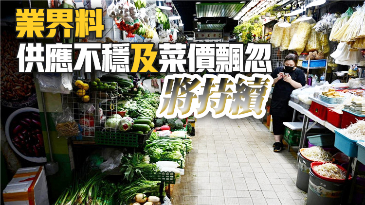 跨境司機強檢影響本港食品供應 多個街市菜價上漲4至6成