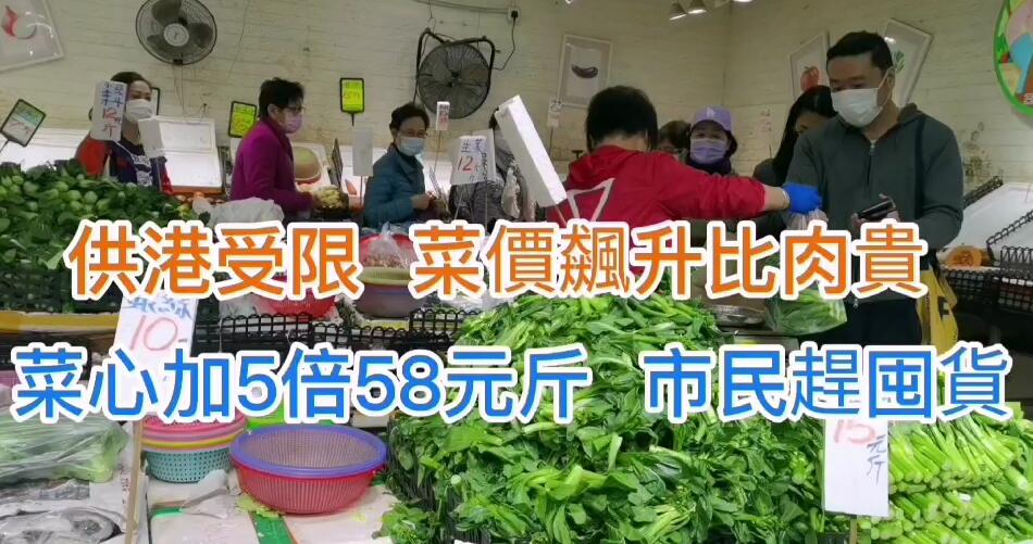 有片丨供港受限  菜價飆升貴過肉 菜心加5倍58元一斤