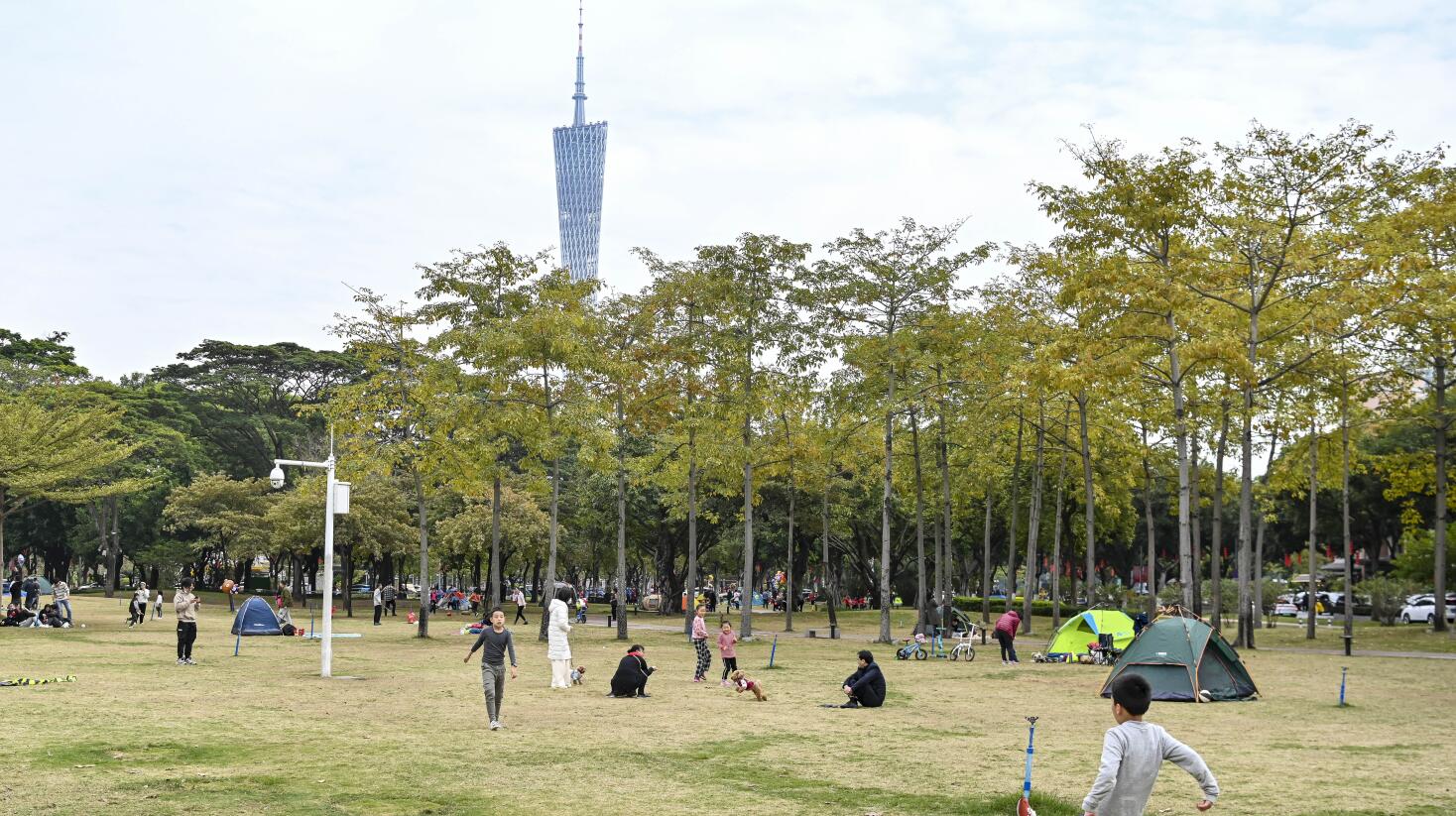 粵高速公路回程車流仍處高位 春運過半車流量超1億車次
