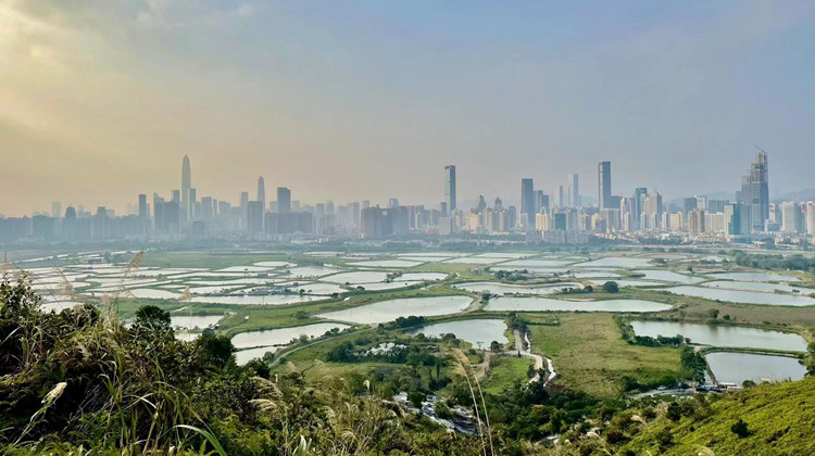 黃偉綸：未來十年北部都會區20萬伙進入收成期