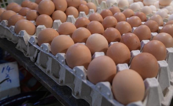 本港暫停從德國3地區進口禽肉禽蛋