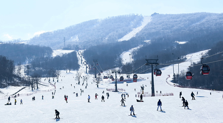 冬奧與春節雙助力 中國冰雪裝備銷售額迅猛增長