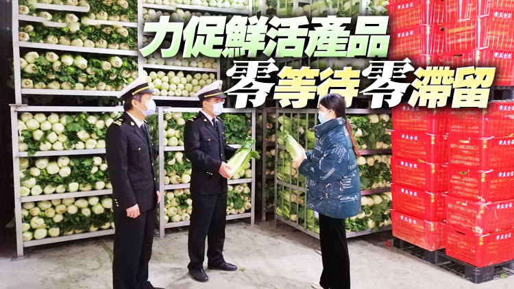 有片｜廣州海關專闢「綠色通道」確保供港農食產品快速抵達