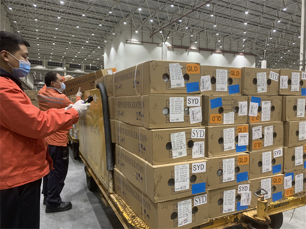 「雙節」拉動鮮花市場走俏 南航物流助力鮮花「滿天飛」