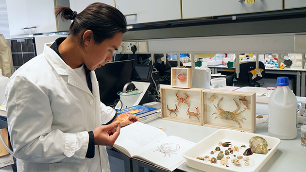 港生冀為海洋保育出力