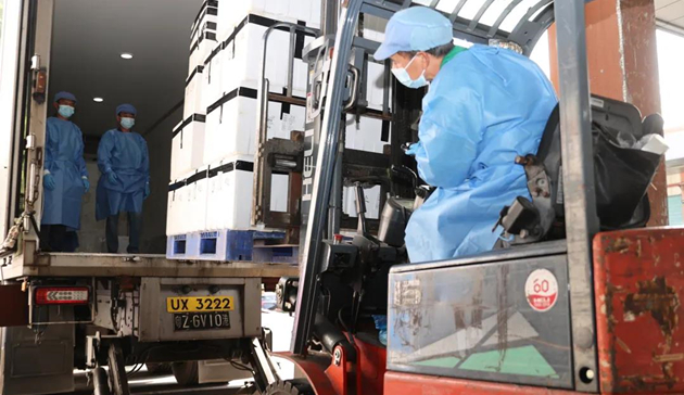 深港同心 雙城戰疫