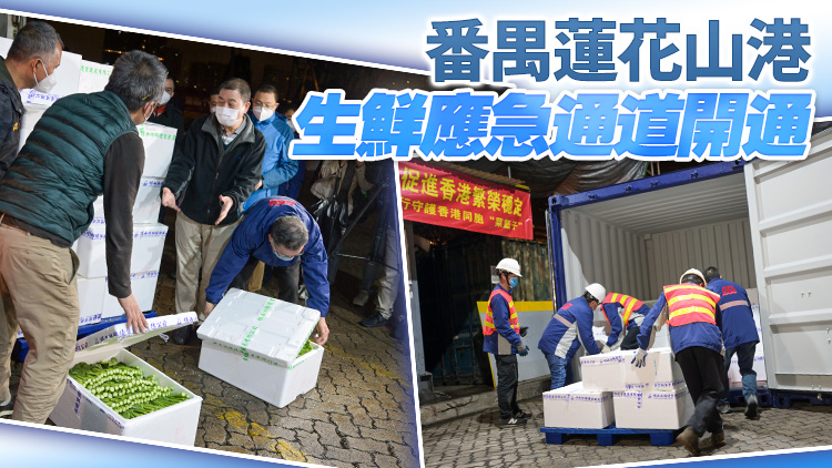 有片 | 首批200箱共3噸菜心19日凌晨經水路運抵本港
