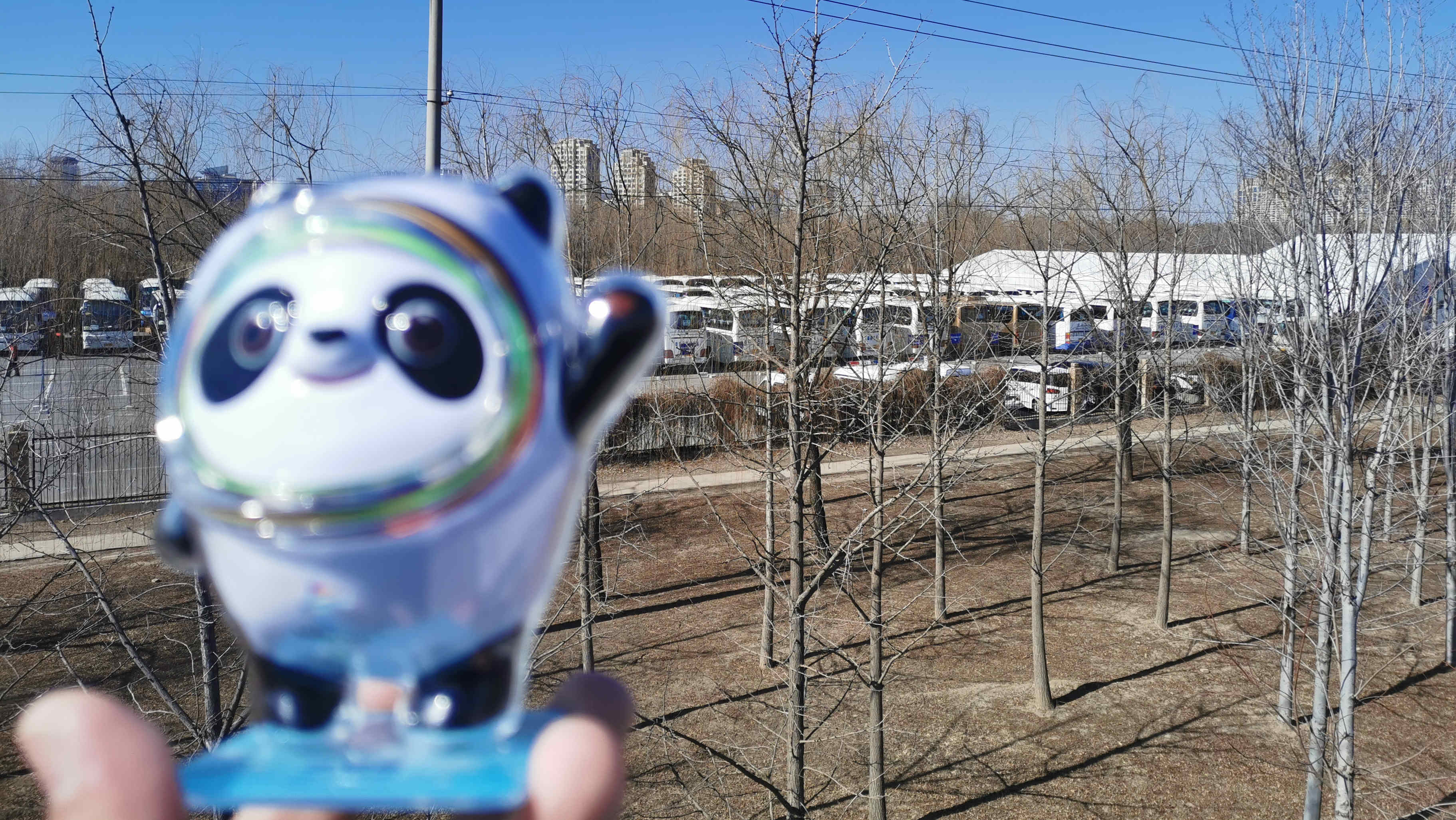 【現場直擊】本報記者拿到閉幕式門票 將攜「冬奧頂流」冰墩墩現場觀看