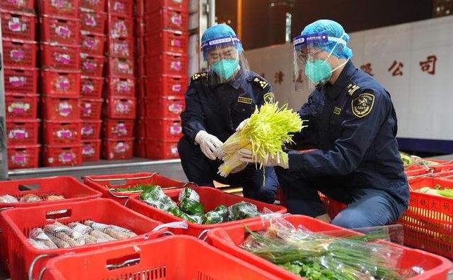 內地鮮活食品供港維持穩定 蔬菜供應量約66.4萬公斤