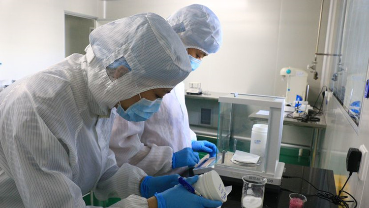 廣州加急生產新冠試劑盒   超1800萬人份經蘿崗供港