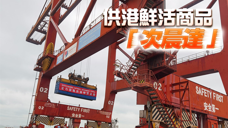 深圳全面開通「海上快線」 保障香港生活物資供應