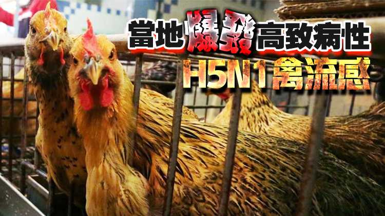 本港暫停進口美國肯塔基州韋伯斯特縣禽肉及禽類產品