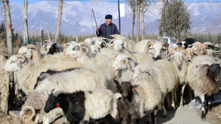 中國脫貧人口人均純收入達12550元同比增16.9%