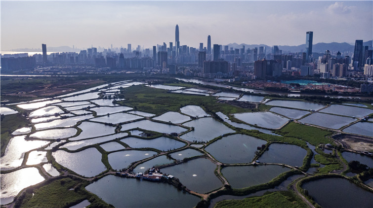 千億專款推動北都會發展