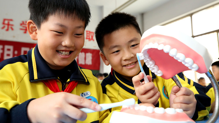 科技部：我國人工牙釉質研究製備實現新突破