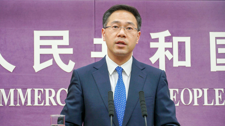 商務部：與有關部門共同推動金融機構豐富完善避險業務