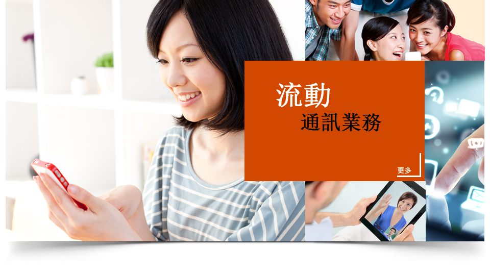 和電香港去年股息勁升264%