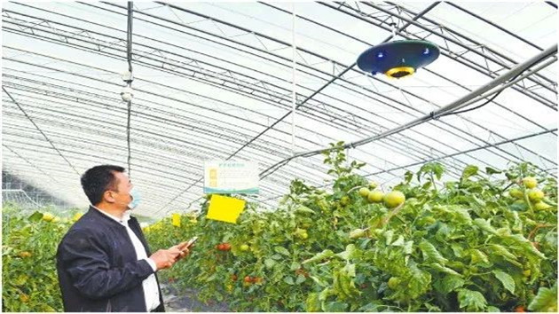 【厚望山海間】「山東的糧」為什麼特別能打