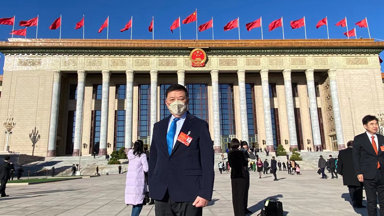 【聲音】港區人大代表陳亨利：政府工作報告穩中求進 展現治國成績表