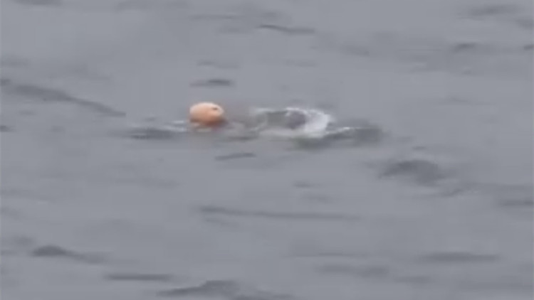 又有2人游泳偷渡到深圳？鹽田警方接連闢謠